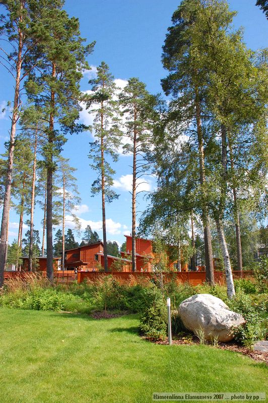 &copy;Priit Paenurm  +3725178659