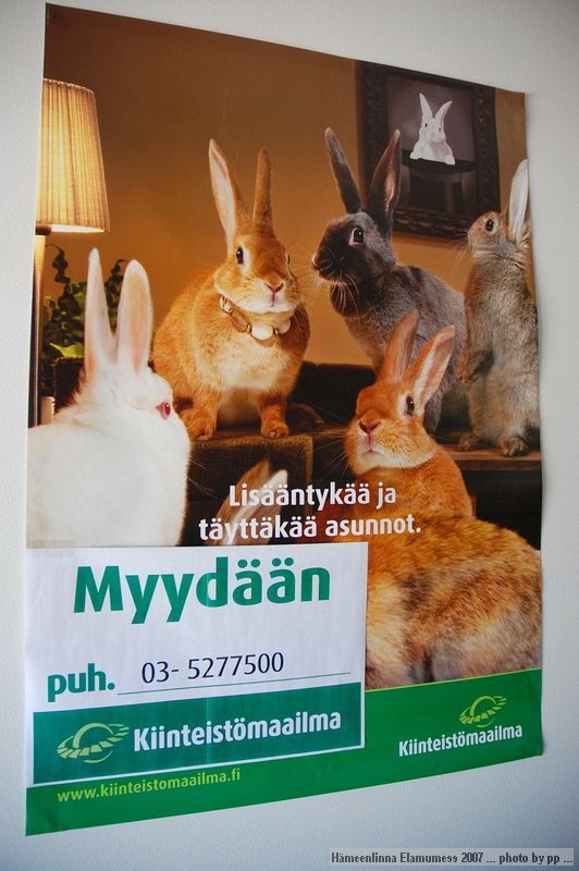&copy;Priit Paenurm  +3725178659