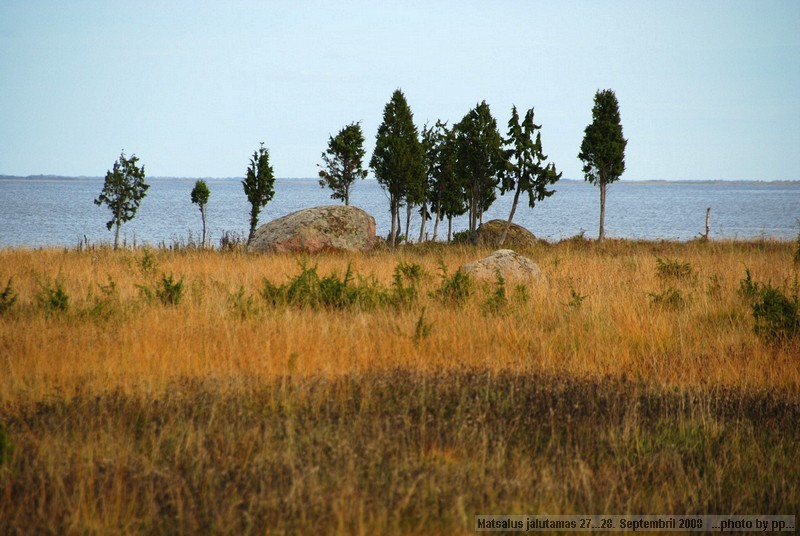 (C)Priit Paenurm  +3725178659