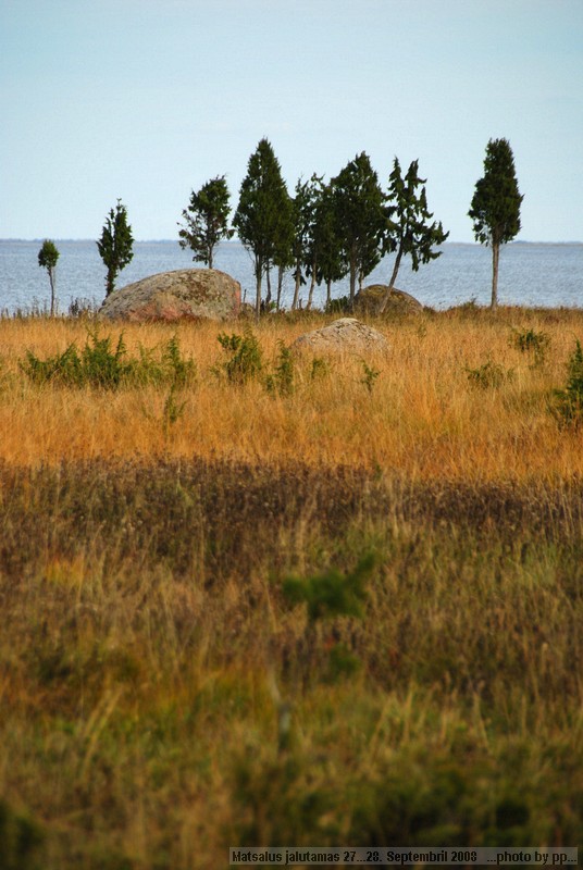 (C)Priit Paenurm  +3725178659