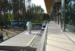 (C)Priit Paenurm  +3725178659